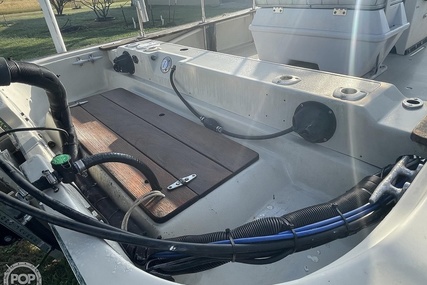 Boston Whaler 19 Low Profile