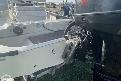 Boston Whaler 19 Low Profile