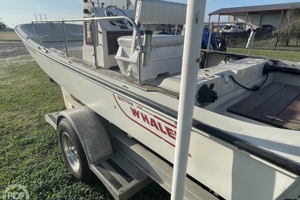 Boston Whaler 19 Low Profile