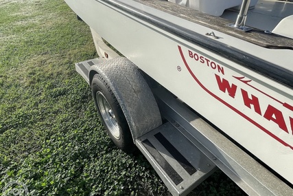 Boston Whaler 19 Low Profile