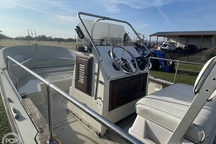 Boston Whaler 19 Low Profile