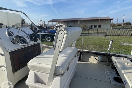 Boston Whaler 19 Low Profile