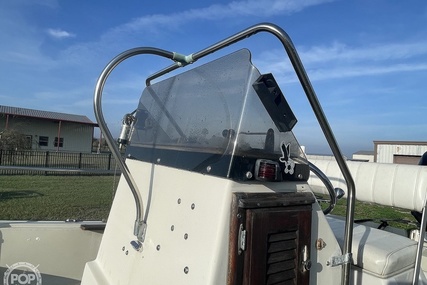 Boston Whaler 19 Low Profile