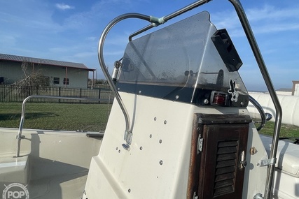 Boston Whaler 19 Low Profile