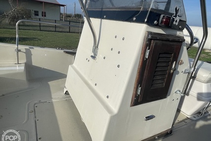 Boston Whaler 19 Low Profile