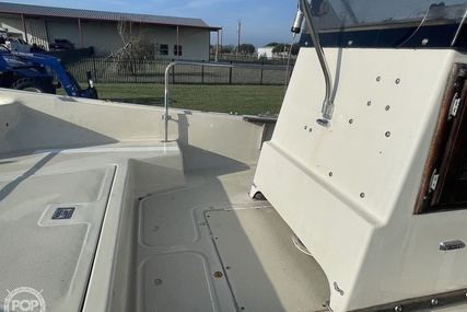 Boston Whaler 19 Low Profile