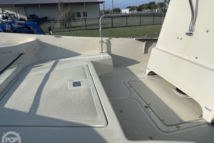 Boston Whaler 19 Low Profile