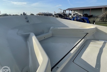 Boston Whaler 19 Low Profile