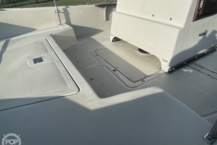 Boston Whaler 19 Low Profile