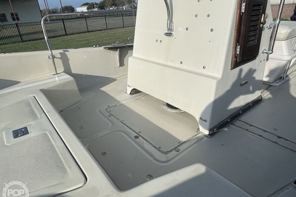 Boston Whaler 19 Low Profile