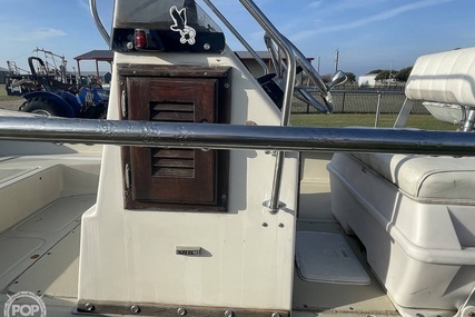 Boston Whaler 19 Low Profile