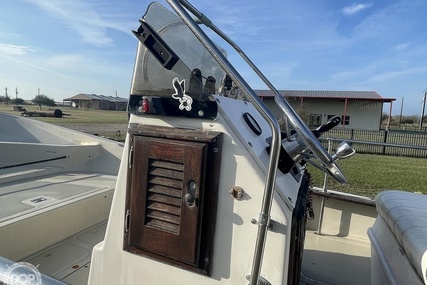 Boston Whaler 19 Low Profile