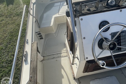 Boston Whaler 19 Low Profile