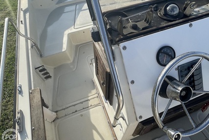 Boston Whaler 19 Low Profile