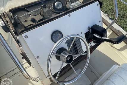 Boston Whaler 19 Low Profile