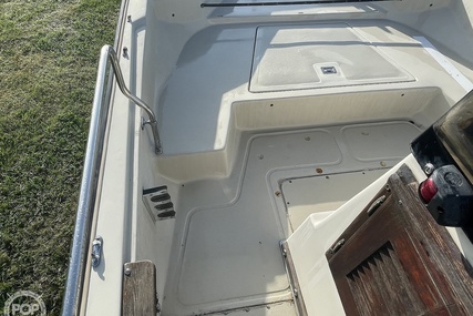 Boston Whaler 19 Low Profile