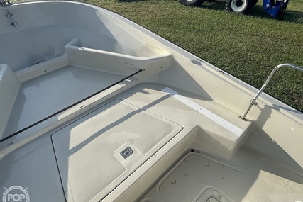 Boston Whaler 19 Low Profile