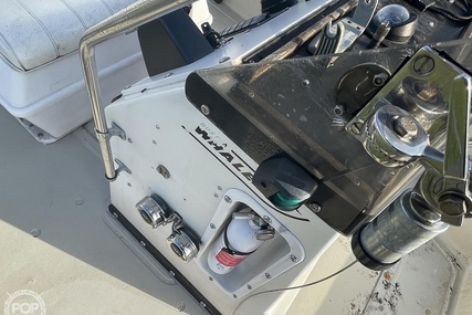 Boston Whaler 19 Low Profile