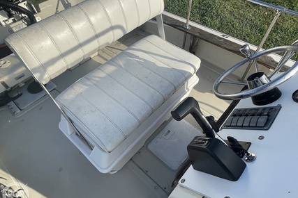 Boston Whaler 19 Low Profile