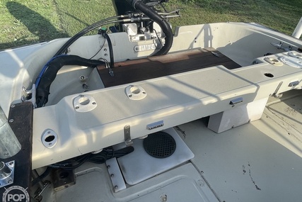 Boston Whaler 19 Low Profile