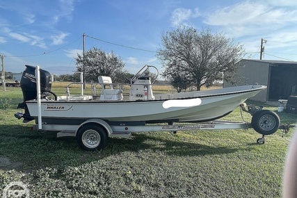 Boston Whaler 19 Low Profile