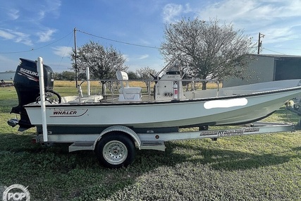 Boston Whaler 19 Low Profile