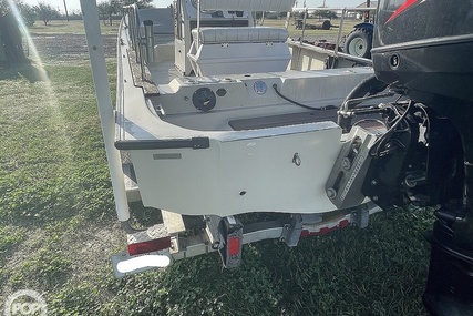 Boston Whaler 19 Low Profile