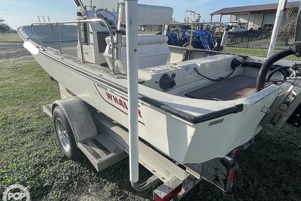 Boston Whaler 19 Low Profile