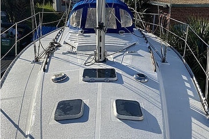 Hunter Legend 40