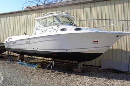 Seaswirl 2901 Striper Alaskan