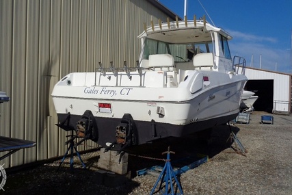 Seaswirl 2901 Striper Alaskan