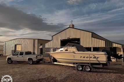 Trophy Boats 2502 Walkaround