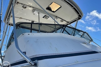 Cabo 35 Flybridge SF