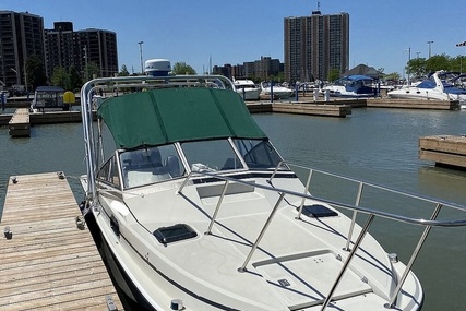 Boston Whaler Revenge WT 22