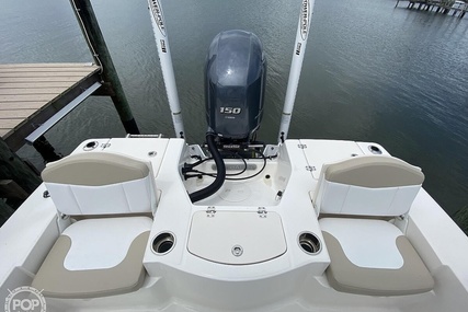 Robalo 206 Cayman