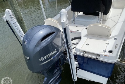 Robalo 206 Cayman