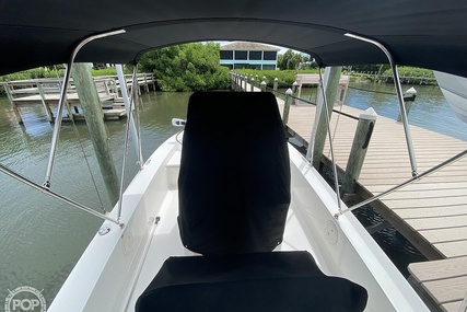 Robalo 206 Cayman