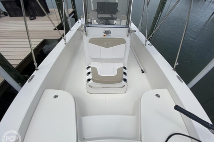 Robalo 206 Cayman