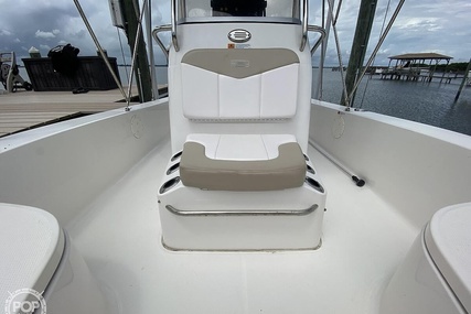 Robalo 206 Cayman