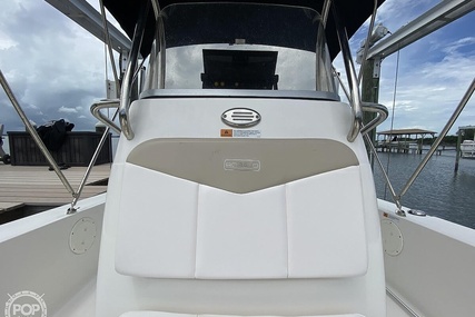 Robalo 206 Cayman