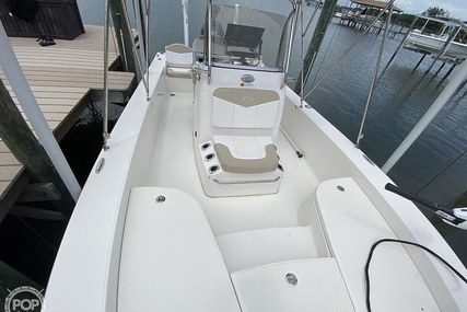 Robalo 206 Cayman