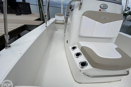 Robalo 206 Cayman