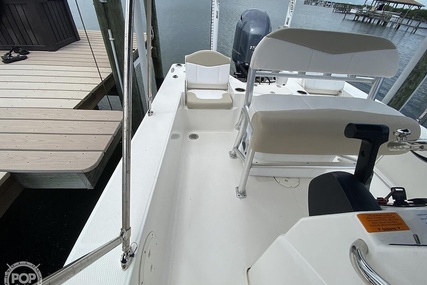 Robalo 206 Cayman