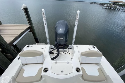 Robalo 206 Cayman