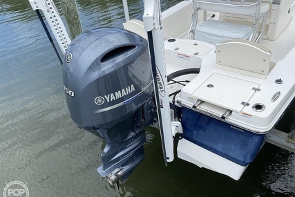 Robalo 206 Cayman