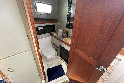 Luhrs 30' Alura