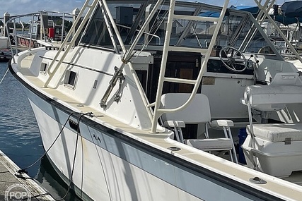 Luhrs 30' Alura