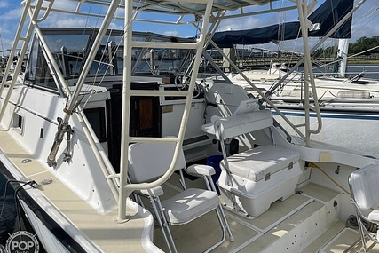 Luhrs 30' Alura