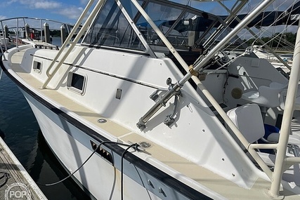 Luhrs 30' Alura