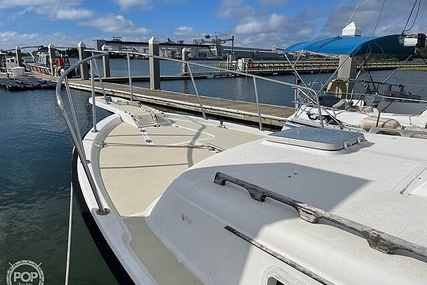 Luhrs 30' Alura